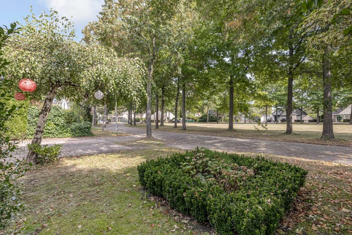 Foto 54 van Reggeplantsoen 5