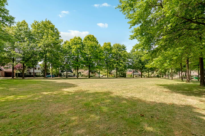 Foto 57 van Reggeplantsoen 5