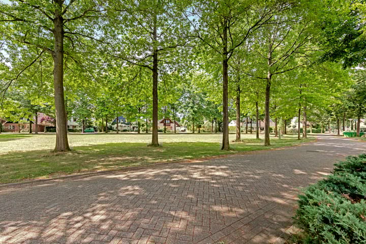 Foto 59 van Reggeplantsoen 5