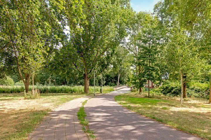 Foto 60 van Reggeplantsoen 5