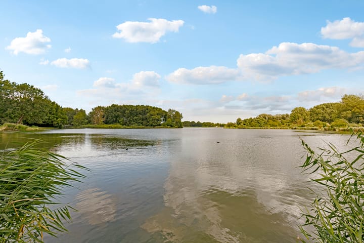 Foto 62 van Reggeplantsoen 5