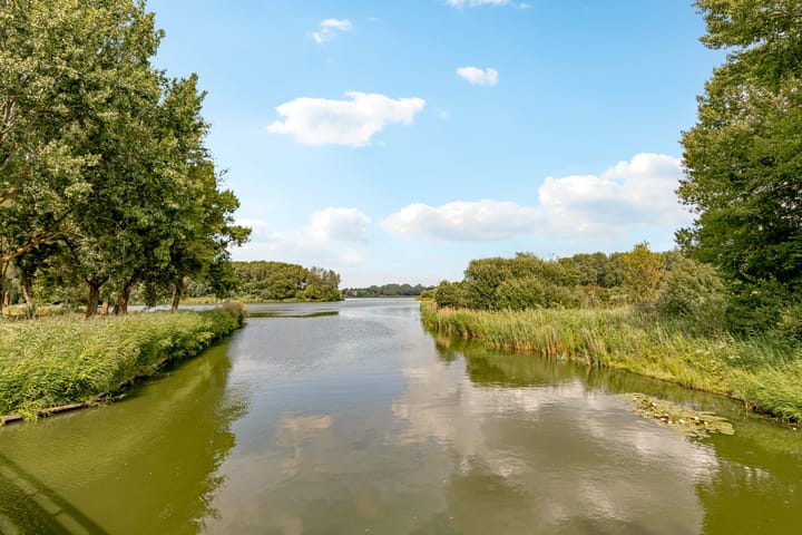 Foto 66 van Reggeplantsoen 5