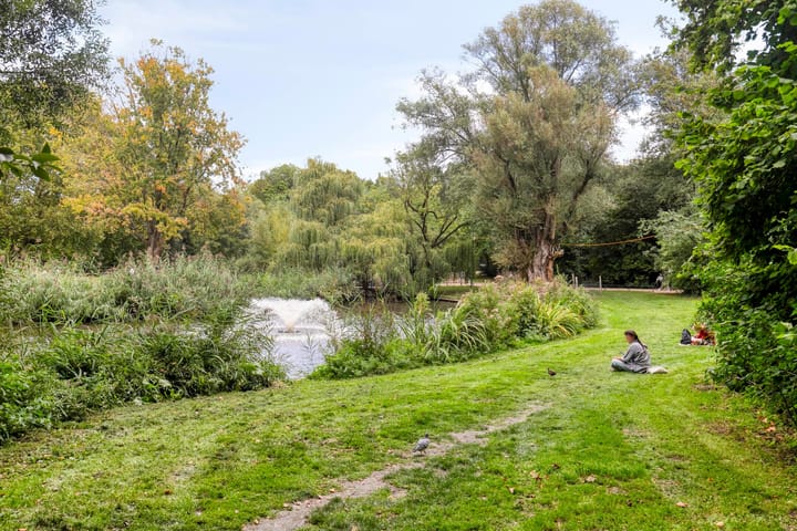 Foto 28 van Sarphatipark 30-2