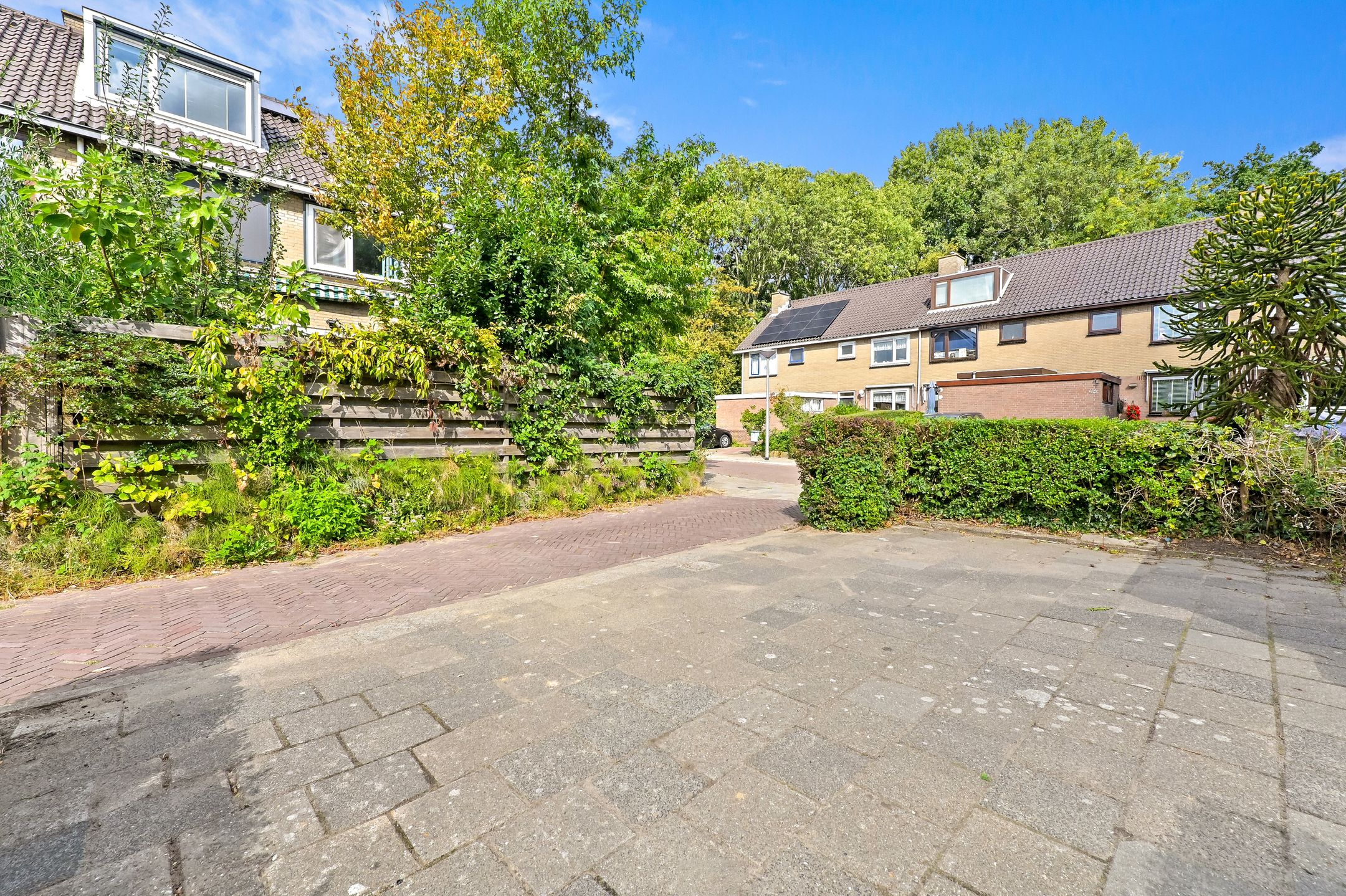 Foto 6 van Rooseveltlaan 56