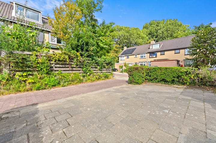 Foto 6 van Rooseveltlaan 56