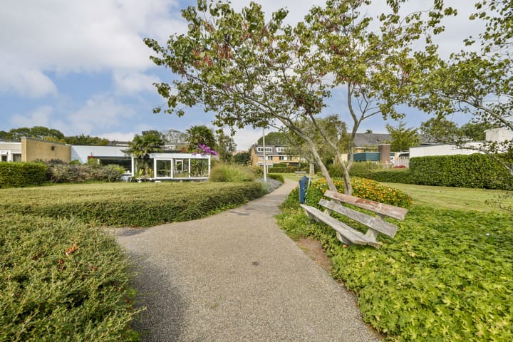 Foto 6 van Olympus 20