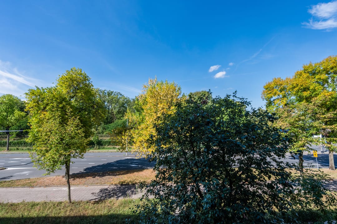 Foto 37 van Geldropseweg 210