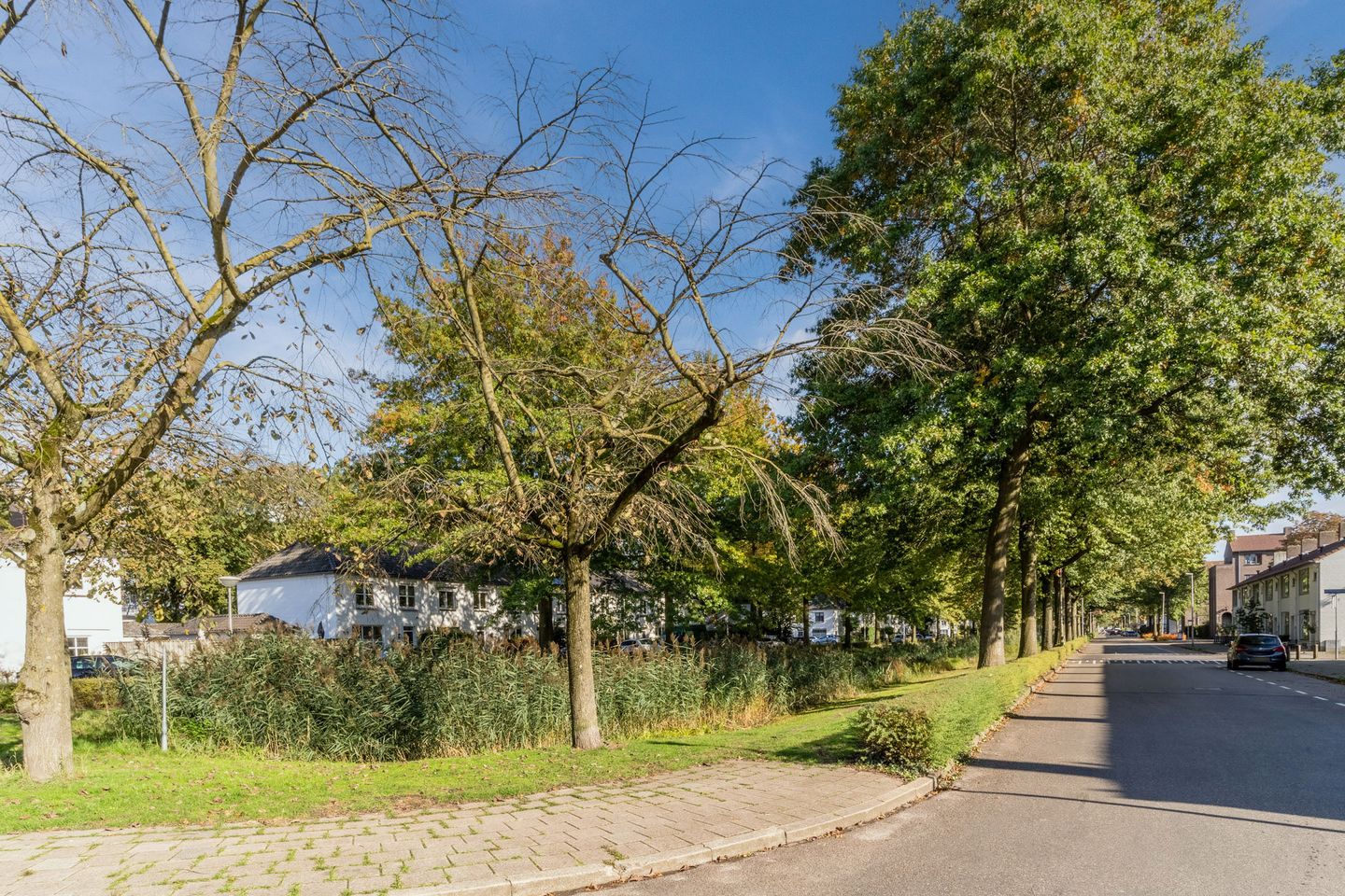 Foto 44 van Geldropseweg 210