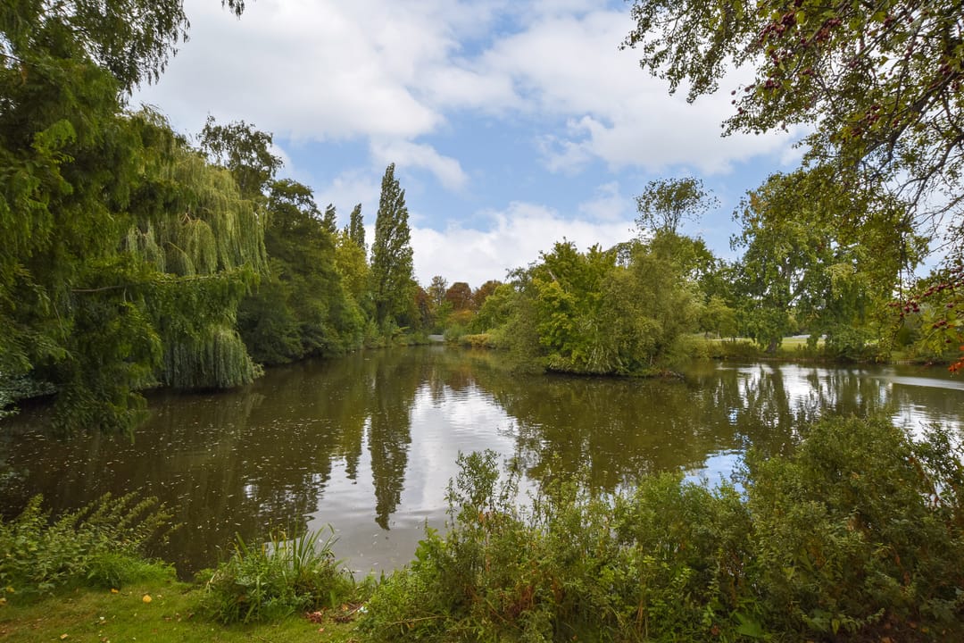 Foto 26 van Schiedamseweg 240