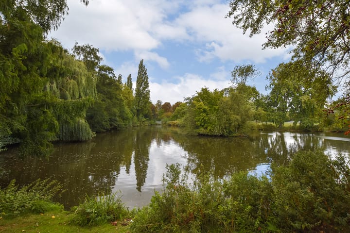 Photo 26 of Schiedamseweg 240