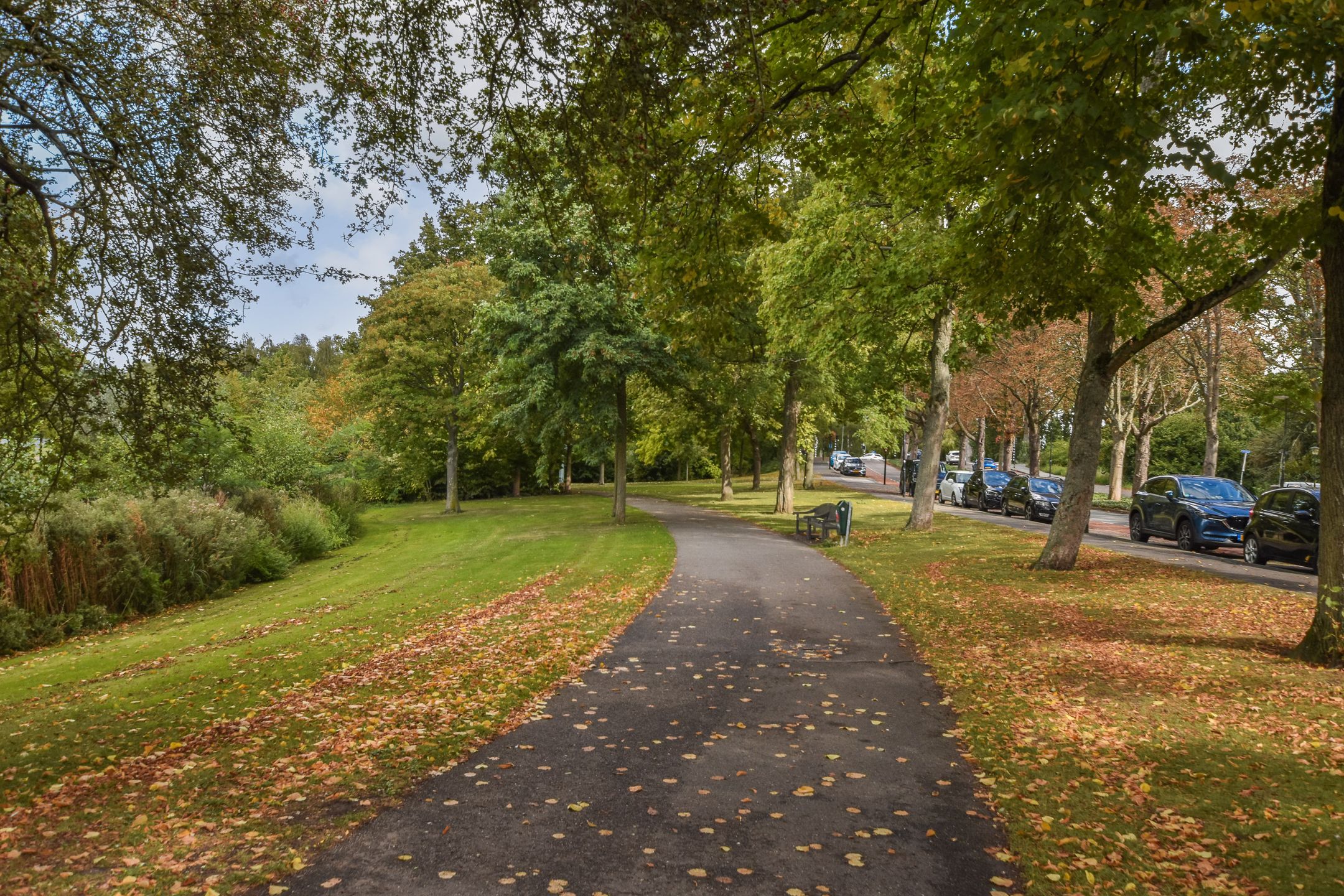 Foto 27 van Schiedamseweg 240