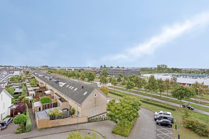 Foto 16 van Aruba 83