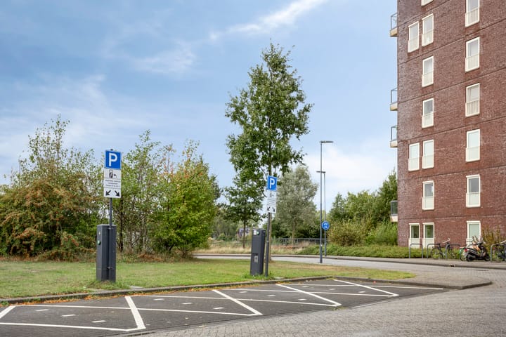 Foto 33 van Aruba 83