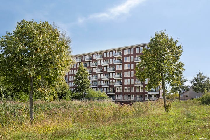 Foto 35 van Aruba 83