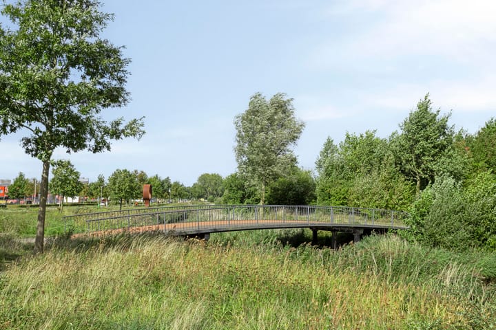 Foto 36 van Aruba 83