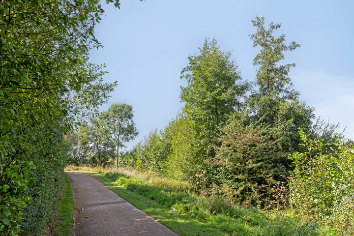 Foto 37 van Aruba 83