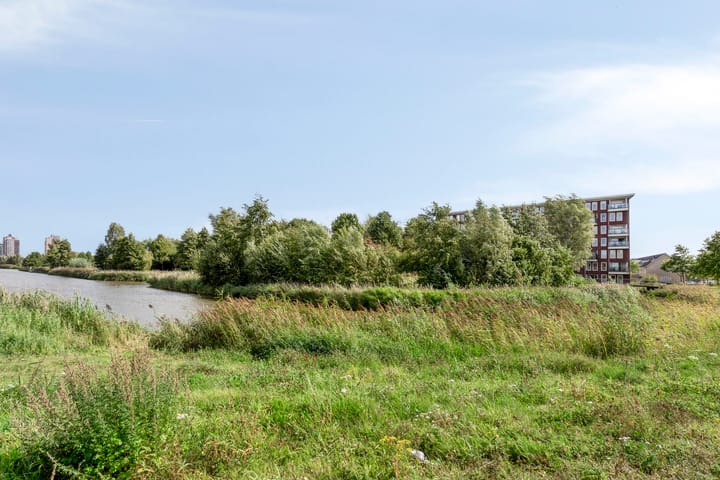 Foto 38 van Aruba 83