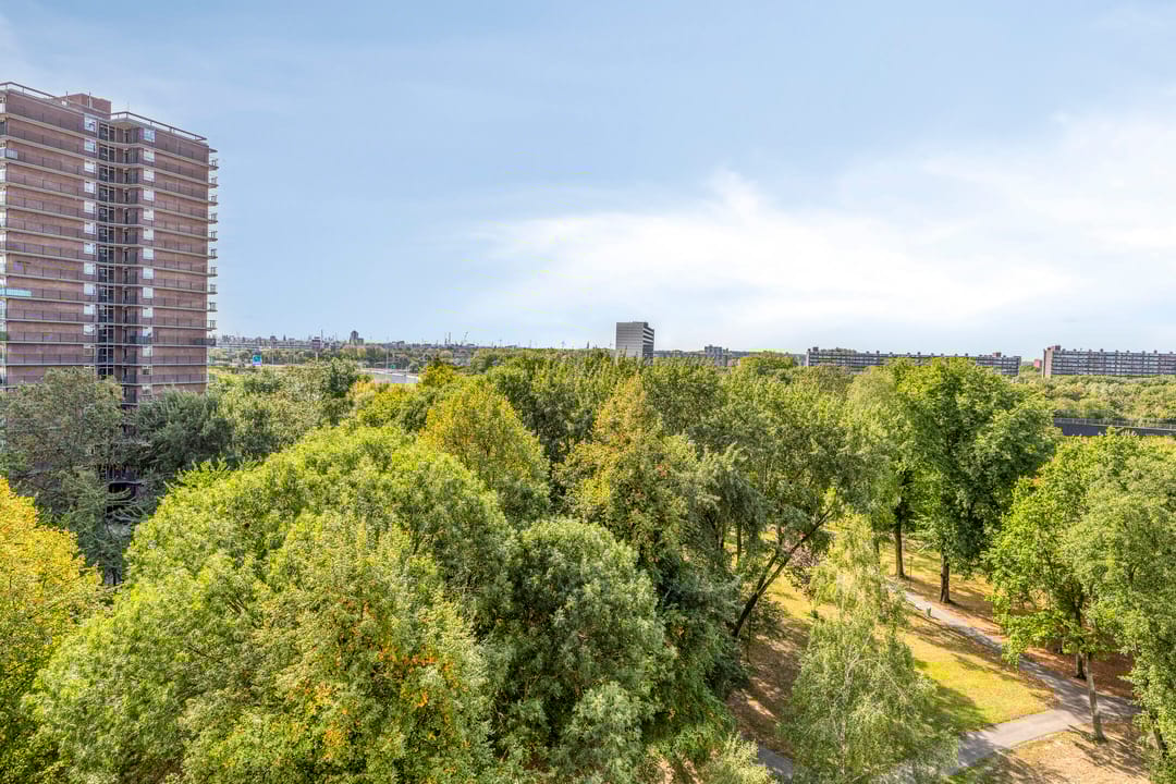 Foto 8 van Chopinplein 223