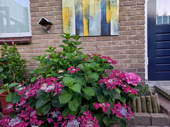 Foto 31 van Gladiolenstraat 50