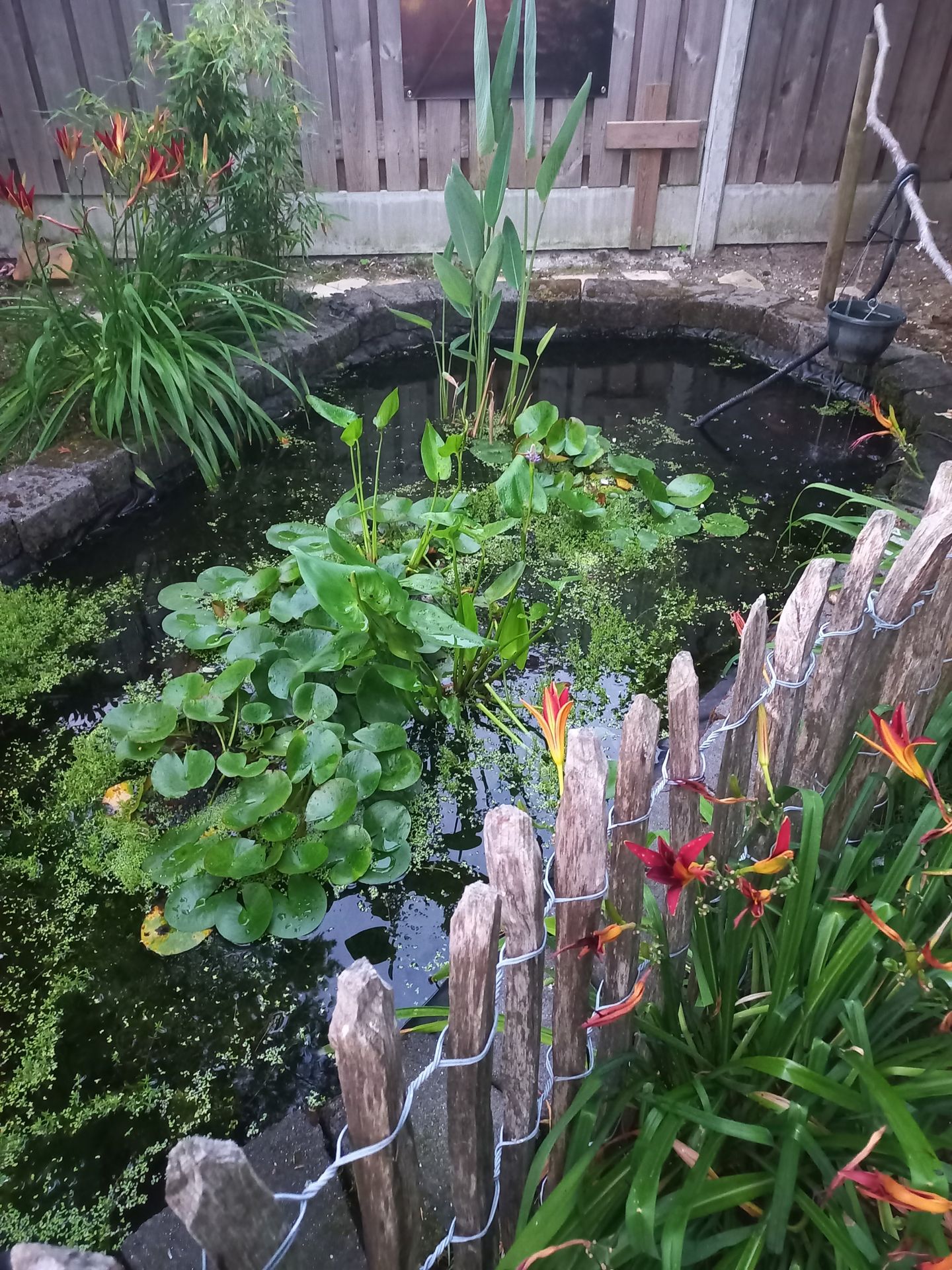 Foto 44 van Gladiolenstraat 50