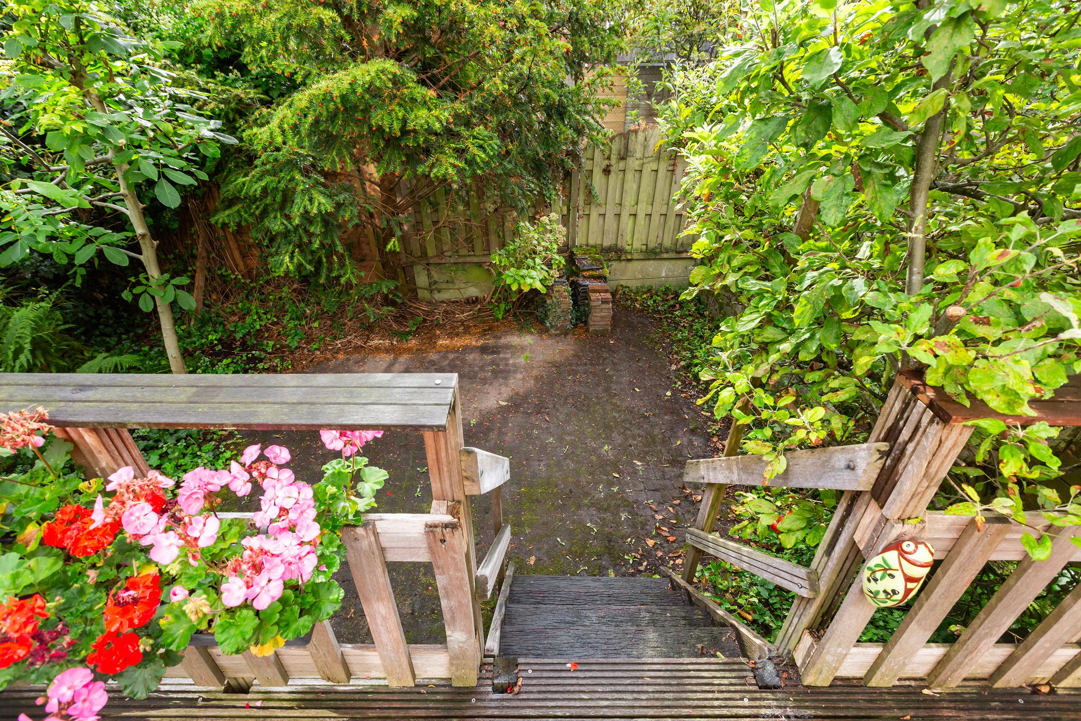 Foto 15 van Schieveenstraat 46