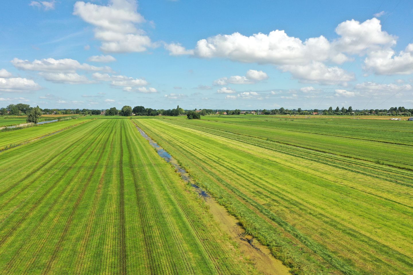 Bekijk foto 3 van Grond nabij Wielsekade 75A