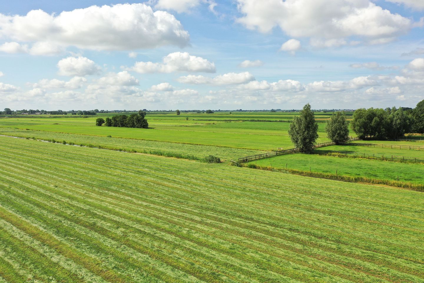 Bekijk foto 2 van Grond nabij Wielsekade 75A