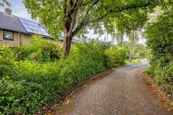 Foto 7 van Abraham van der Hulstln 27