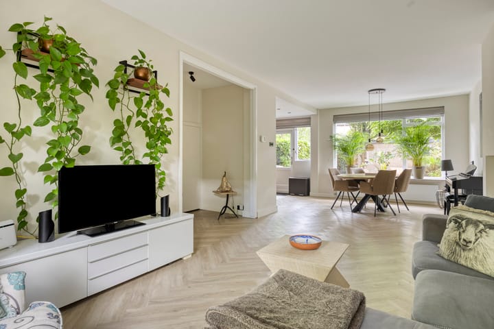 Foto 13 van Abraham van der Hulstln 27