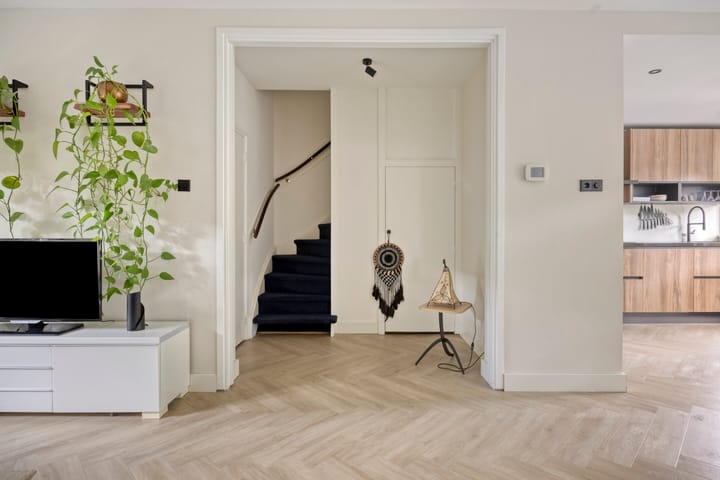 Foto 14 van Abraham van der Hulstln 27