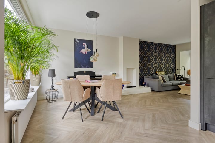 Foto 18 van Abraham van der Hulstln 27