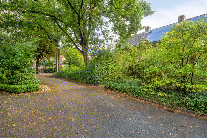 Foto 50 van Abraham van der Hulstln 27