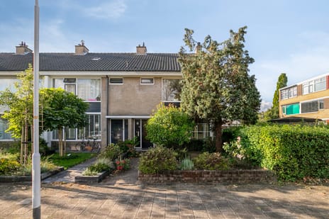 Alexanderstraat thumbnail