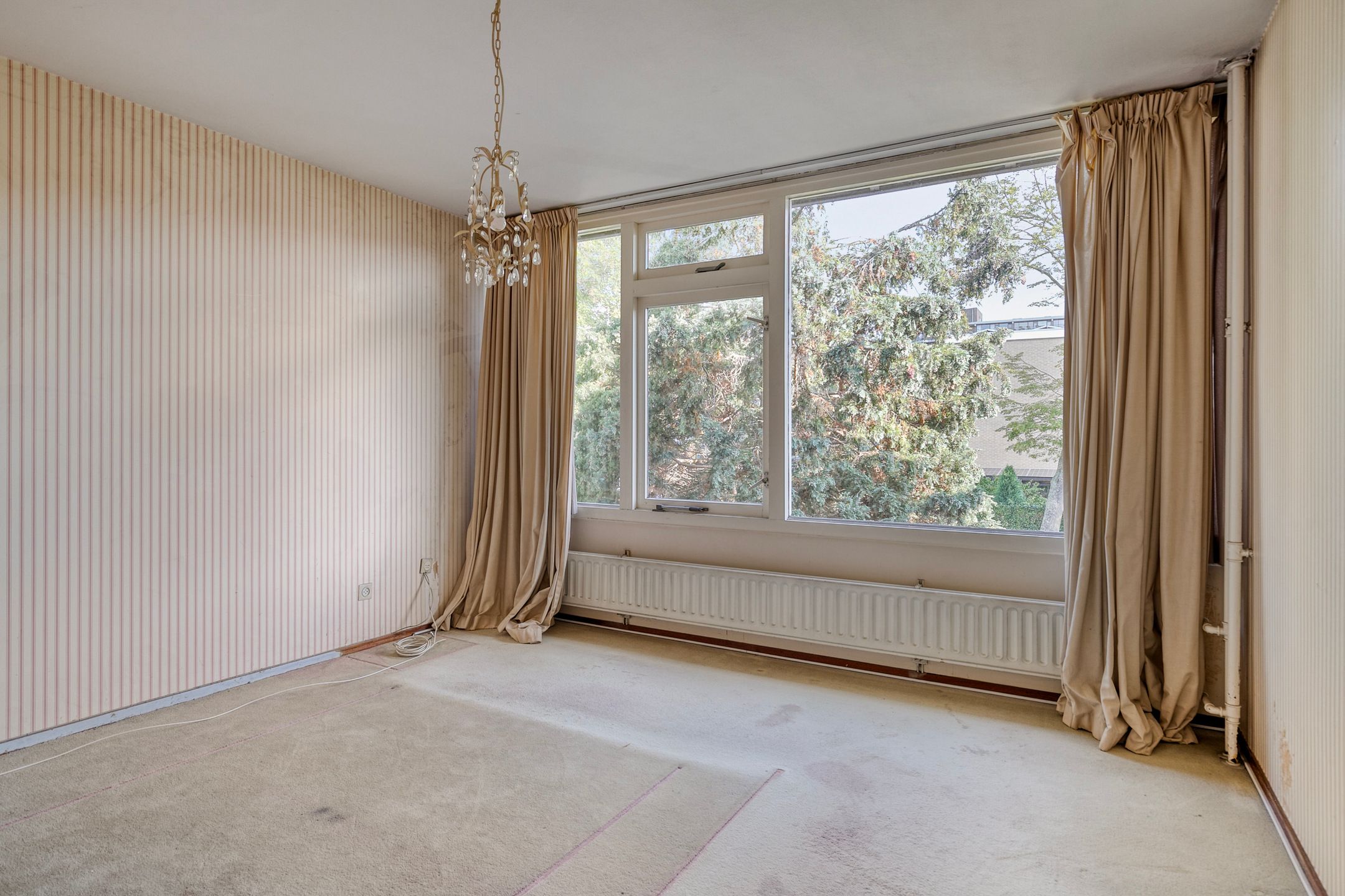 Foto 18 van Alexanderstraat 1