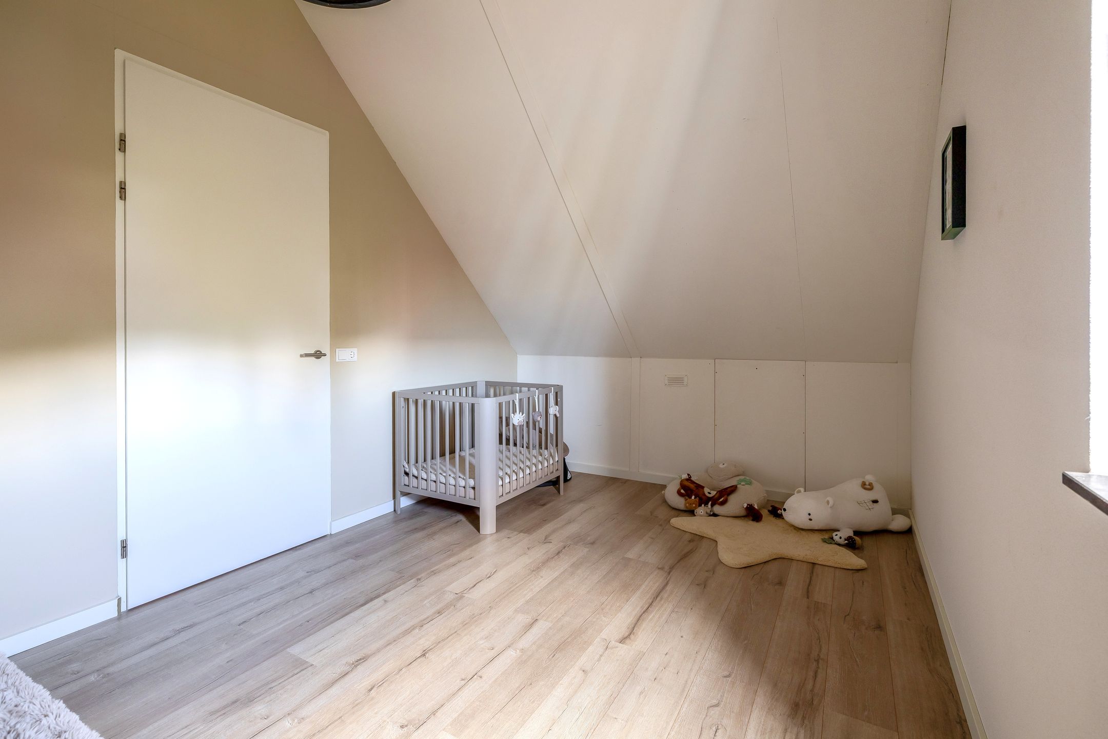 Foto 24 van Steenbok 16