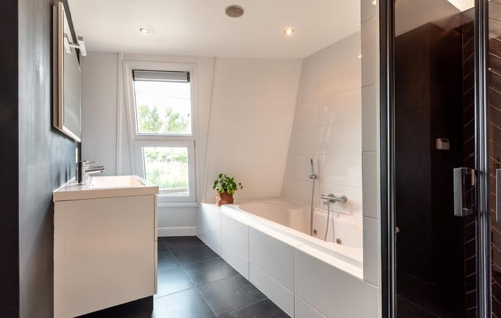 Foto 4 van Schieland 46