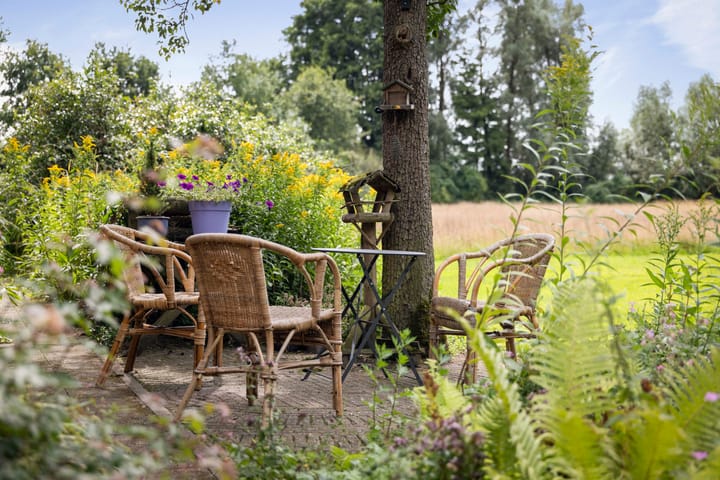 Foto 11 van Het Aamschot 5