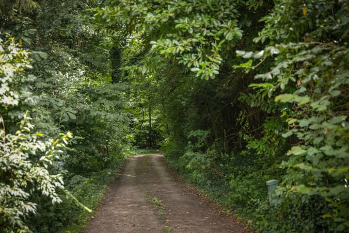 Foto 51 van Het Aamschot 5