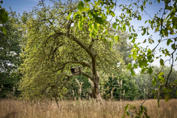 Foto 64 van Het Aamschot 5