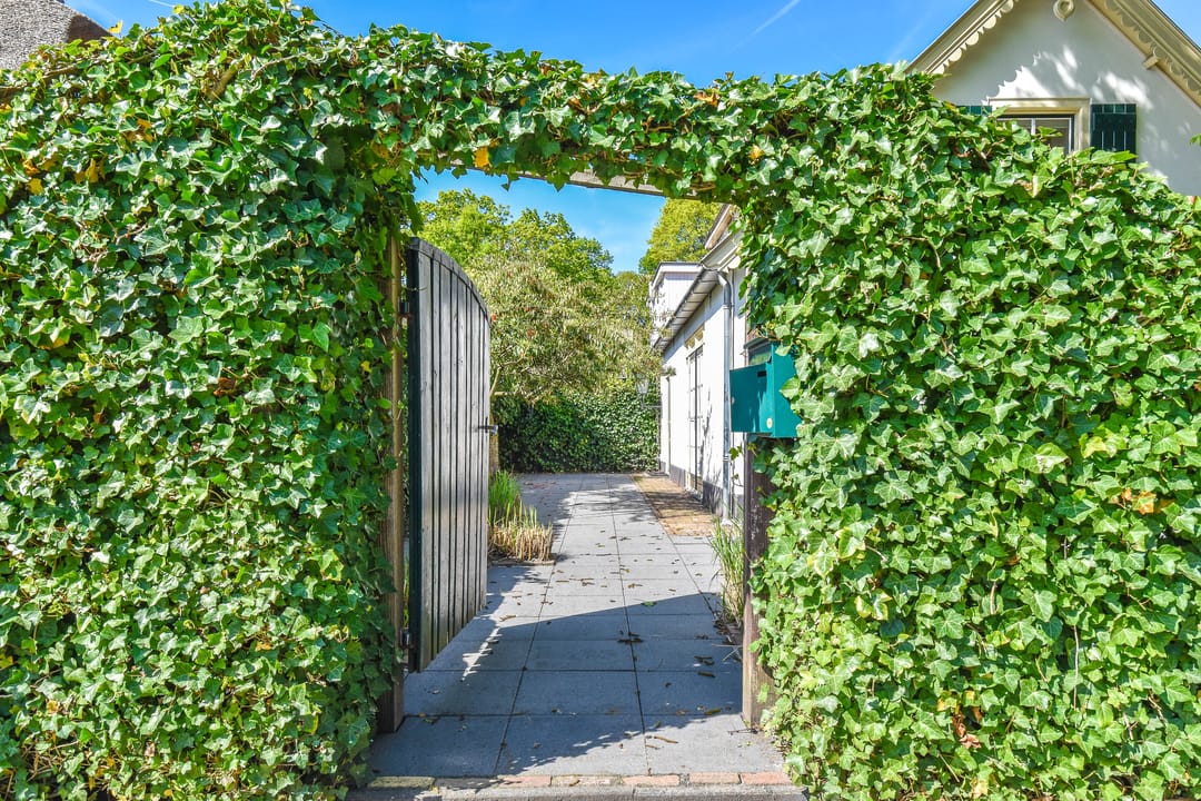 Photo 8 of Nieuwlarenweg 1