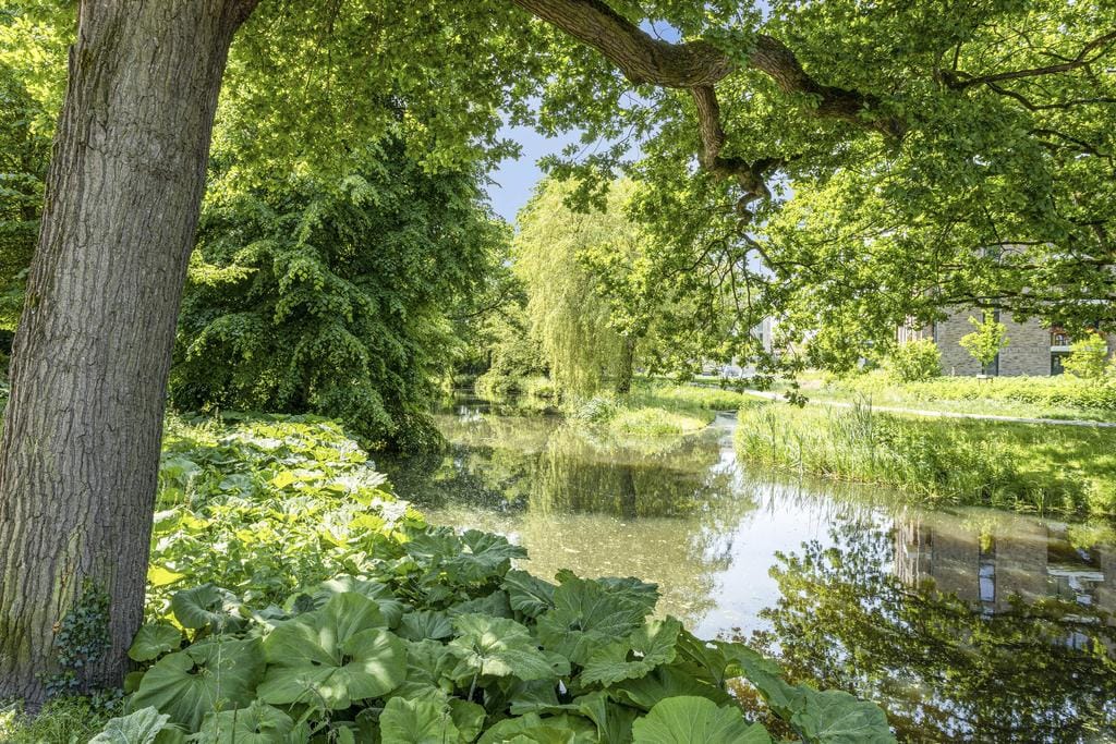 Foto 44 van Bisschopsweg 17