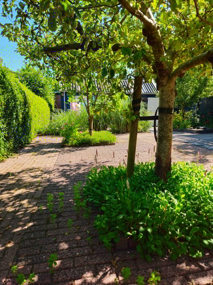 Photo 66 of Hereweg 228