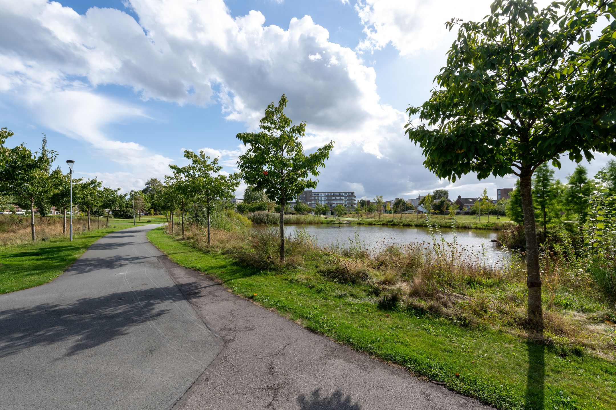 Foto 24 van Notaris Mulderstraat 13