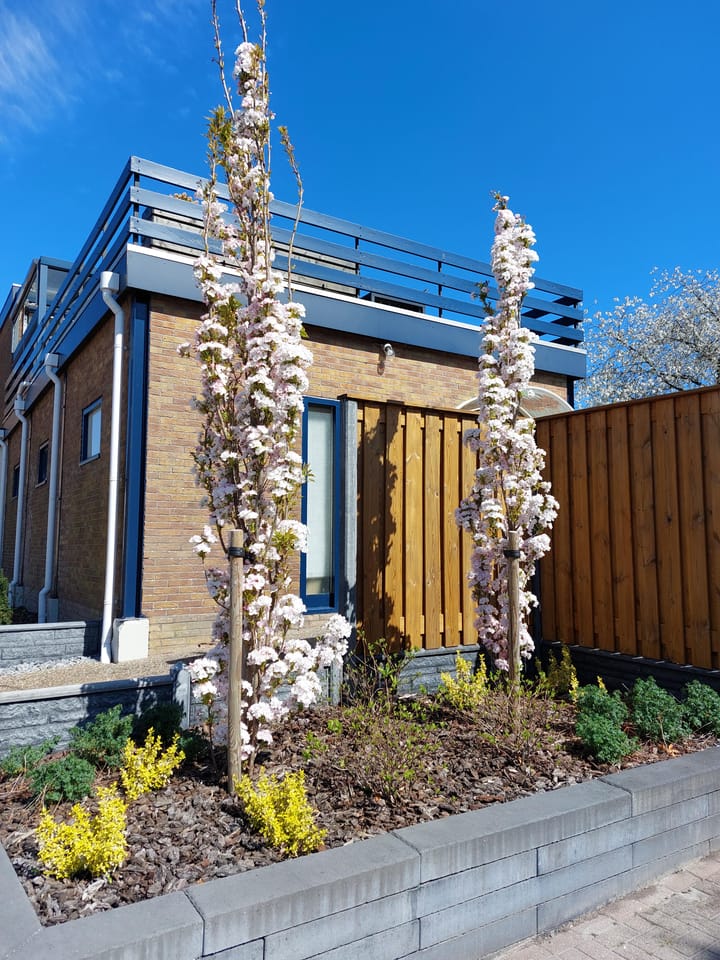 Photo 83 of Hereweg 228