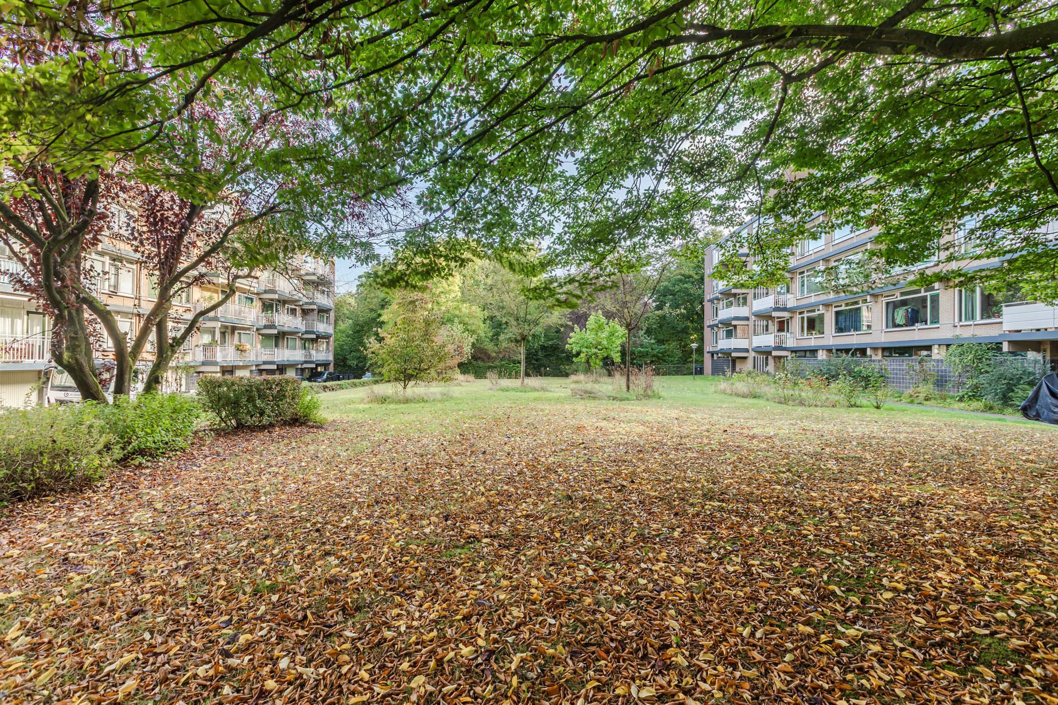 Foto 36 van Stollenbergweg 186