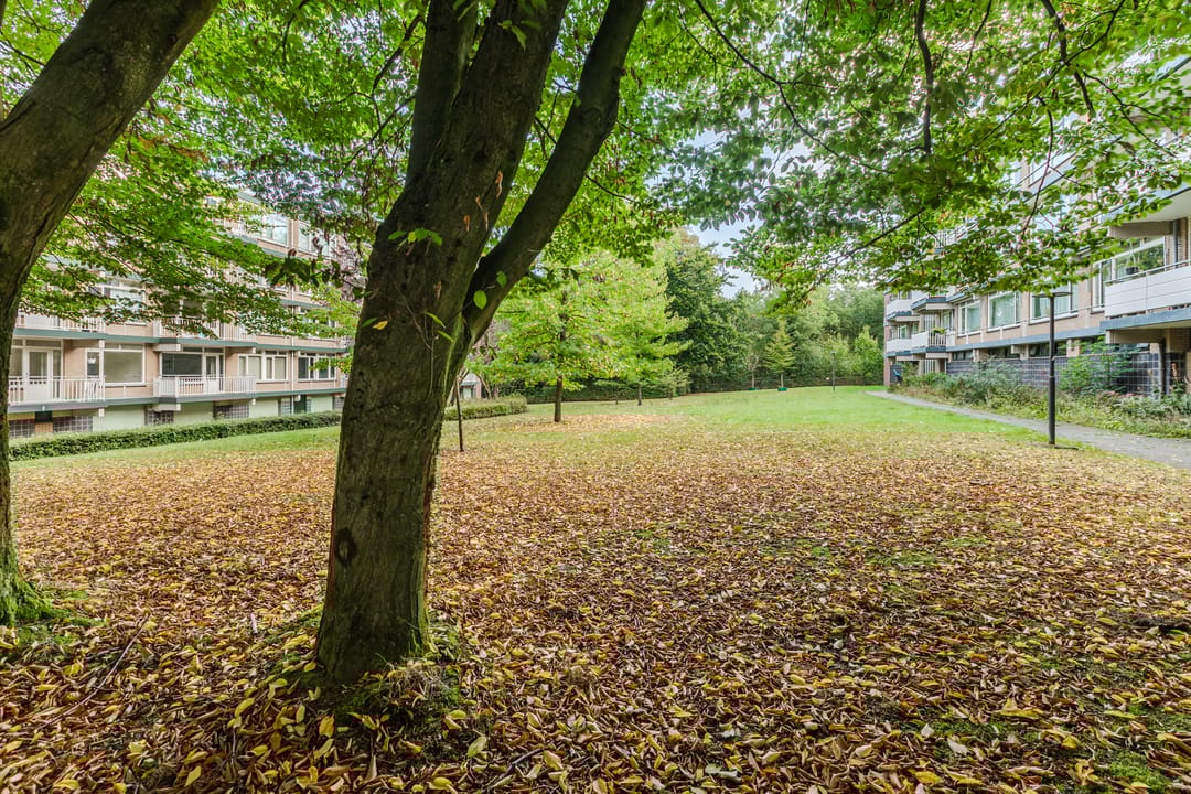 Foto 37 van Stollenbergweg 186