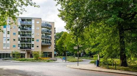 undefined main image