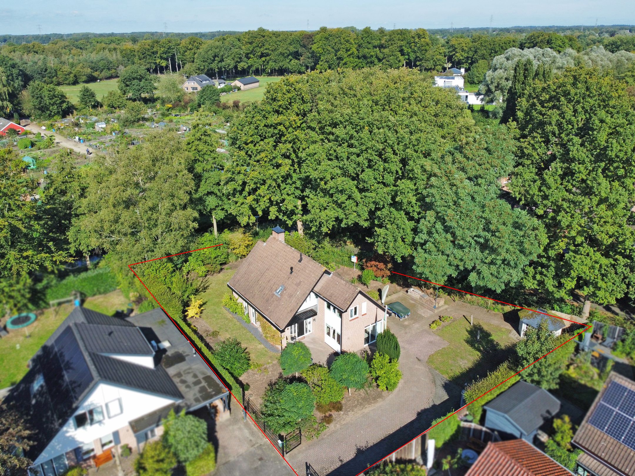 Photo 3 of Witbol 11