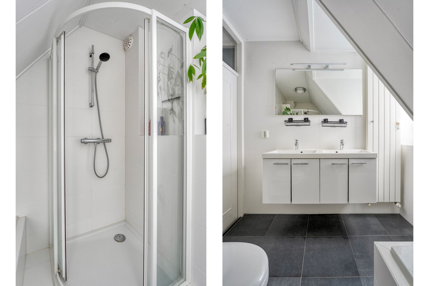 Foto 29 van Moeraslanden 6