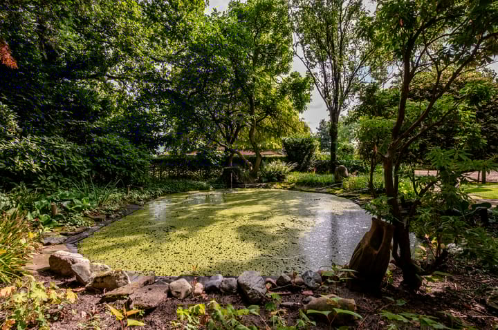 Foto 8 van Eekterweg 25